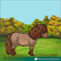 Horse Color:Red Dun 