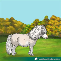 Horse Color:Cremello Splash  and Cremello Splash 