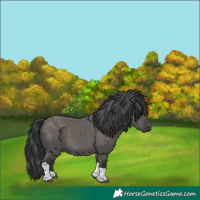 Horse Color:Grullo Tobiano 