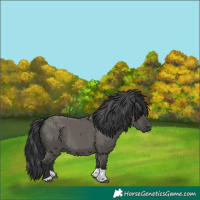 Horse Color:Grullo Tobiano 