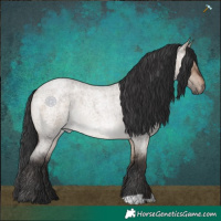 Horse Color:Brown Roan Dun Brindle 