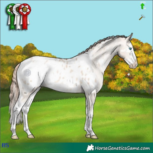 Horse Color:White Spotted Bay Pearl Dun Mushroom Splash Appaloosa 