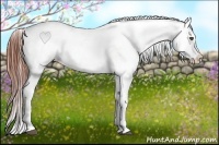 Horse Color:Bay Varnish Rabicano
