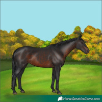 Horse Color:Brown 