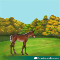 Horse Color:Silver Brown