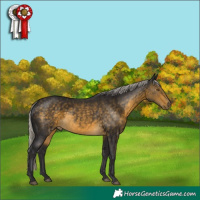 Horse Color:Silver Buckskin 