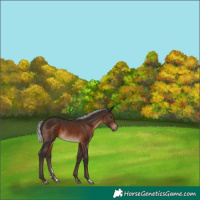 Horse Color:Silver Brown 