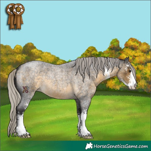 Horse Color:Silver Buckskin Roan Sabino 