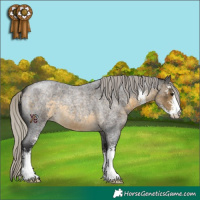 Horse Color:Silver Buckskin Roan Sabino 