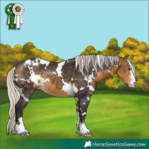 Horse Color:White Spotted Silver Buckskin Sabino