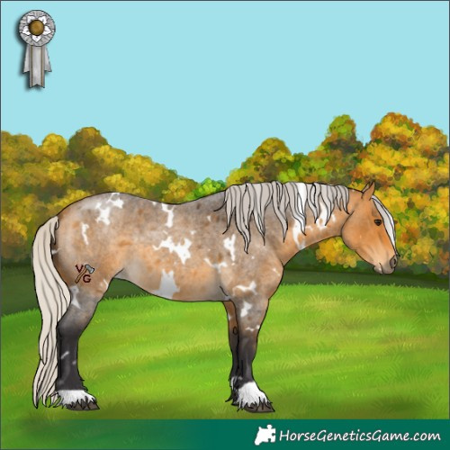 Horse Color:White Spotted Silver Buckskin Roan 