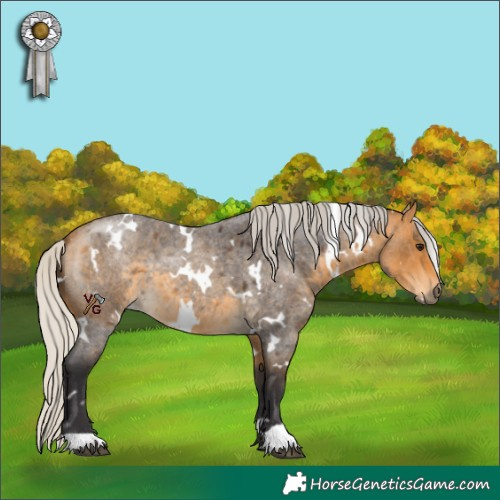 Horse Color:White Spotted Silver Buckskin Roan 
