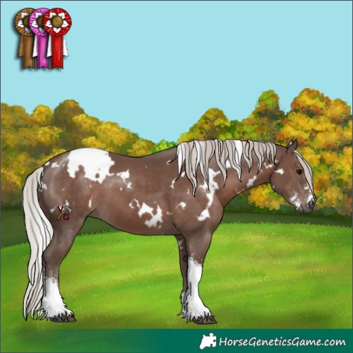 Horse Color:White Spotted Silver Black Sabino 