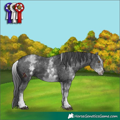 Horse Color:White Spotted Black 