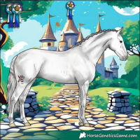 Horse Color:Gray Brown Dun Near Leopard