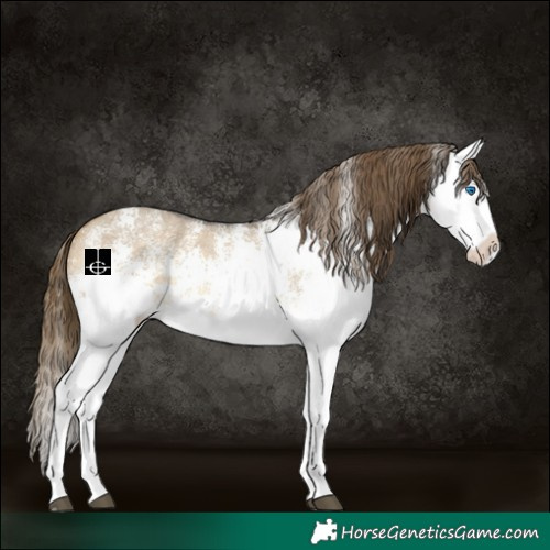 Horse Color:White Spotted Buckskin Dun Splash Varnish 