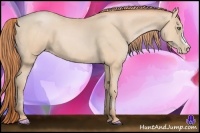 Horse Color:Buckskin Pearl 