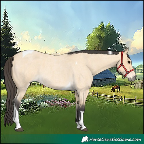 Horse Color:Buckskin Roan Tobiano