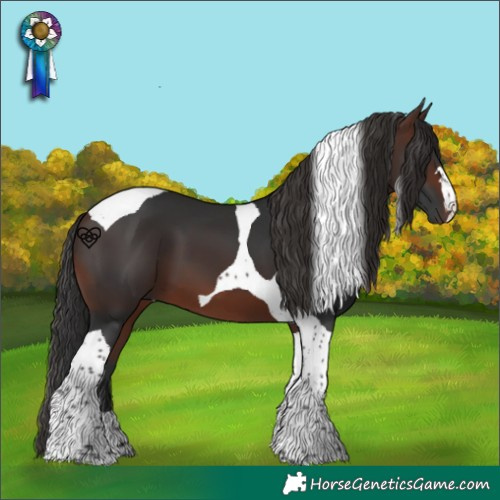 Horse Color:Brown Tobiano 
