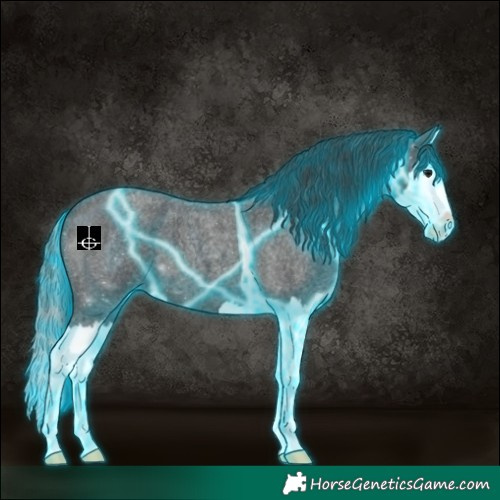 Horse Color:Thunderstruck Blue Roan Splash 