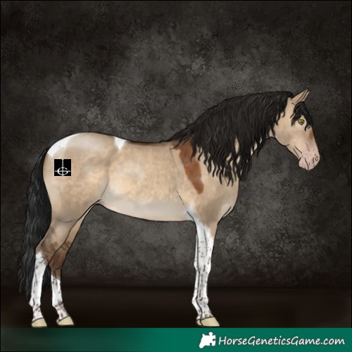 Horse Color:Gray Sable Champagne Dun Tobiano 