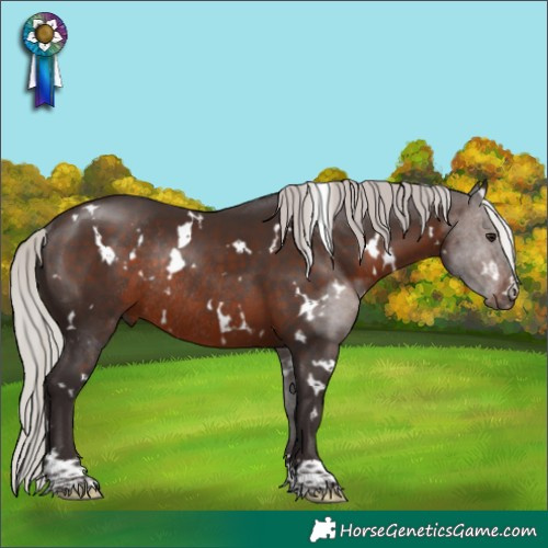 Horse Color:White Spotted Silver Brown Rabicano 