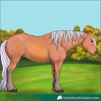 Horse Color:Watercolor Silver Bay 