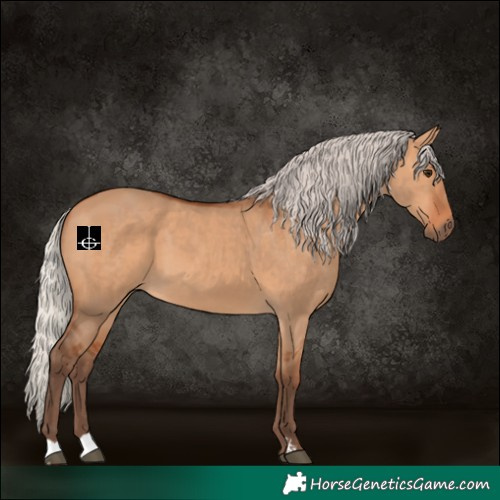 Horse Color:Silver Bay Dun 