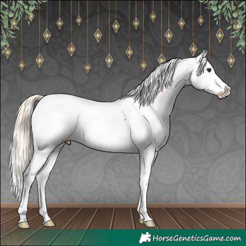 Horse Color:Palomino Near Fewspot 