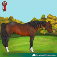 Horse Color:Brown 