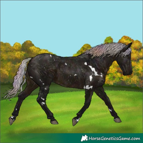 Horse Color:Nacre White Spotted Midnight Silver Brown Ice