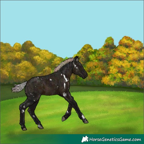 Horse Color:Nacre White Spotted Midnight Silver Brown Ice 