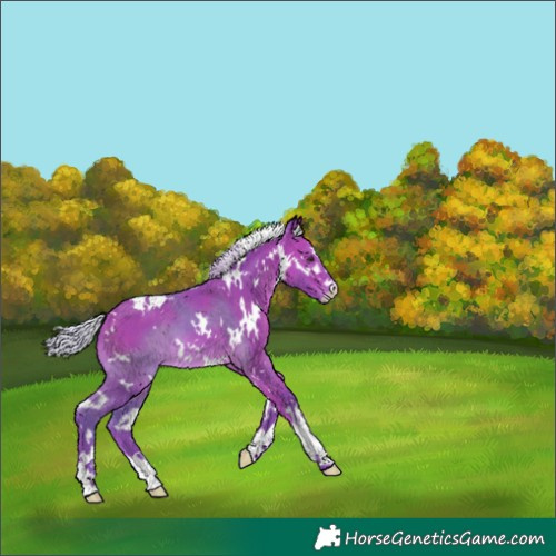Horse Color:Watercolor White Spotted Silver Bay