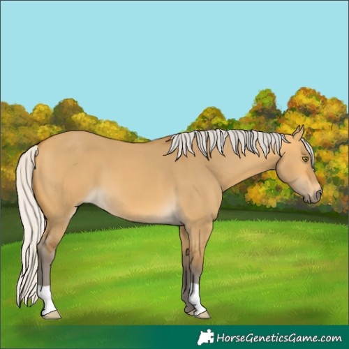 Horse Color:Silver Buckskin Dun 