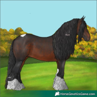 Horse Color:Brown Tobiano 