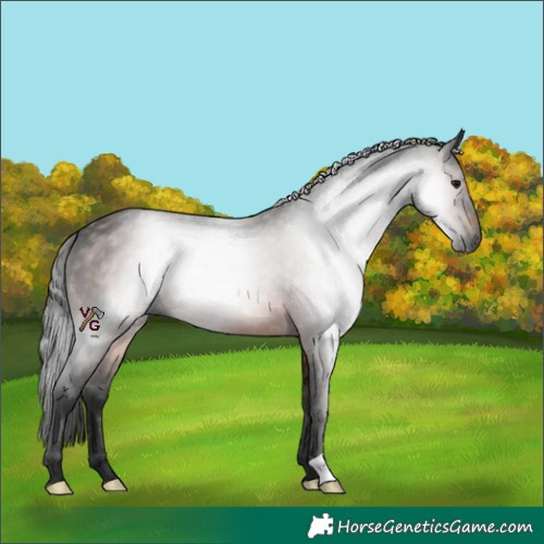 Horse Color:Gray Brown 