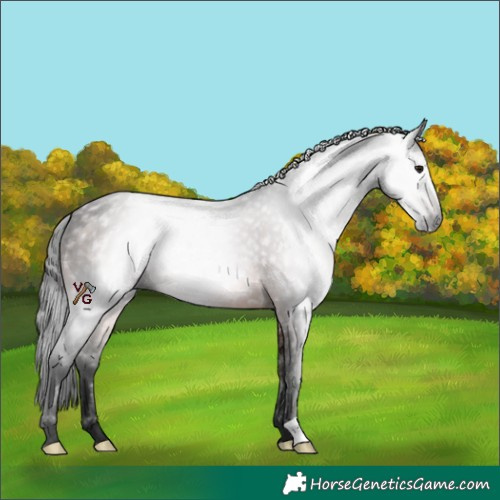 Horse Color:Gray Brown 