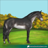 Horse Color:Platinum Brown 