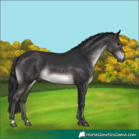 Horse Color:Platinum Brown