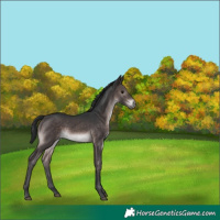 Horse Color:Platinum Brown 
