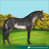 Horse Color:Platinum Brown 