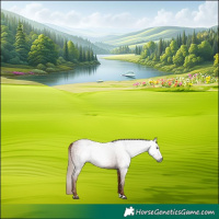 Horse Color:Gray Chestnut