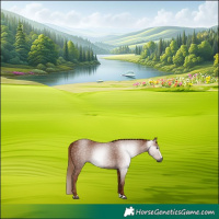 Horse Color:Gray Chestnut 