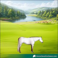 Horse Color:Gray Chestnut 