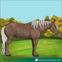 Horse Color:Silver Black 