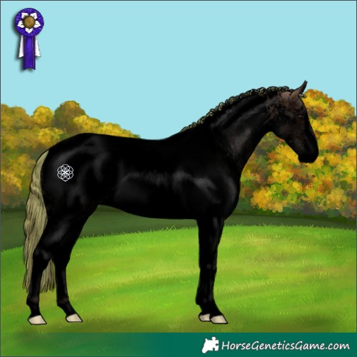 Horse Color:Void Painted Plaid  Chocolate Black Sabino Tobiano Blanket 