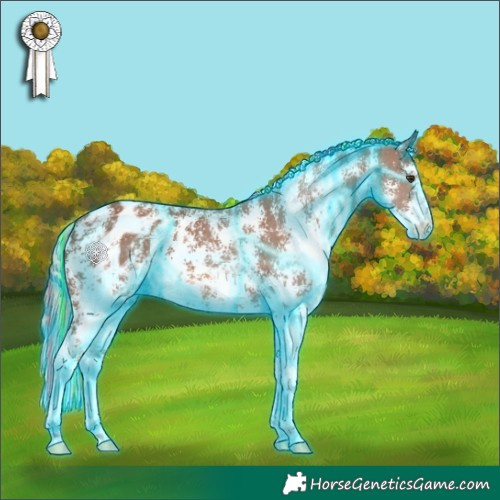 Horse Color:Painted Thunderstruck Chestnut Sabino Appaloosa 