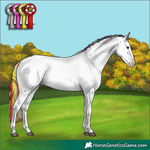 Horse Color:Painted Plaid  Chestnut Sabino Appaloosa 