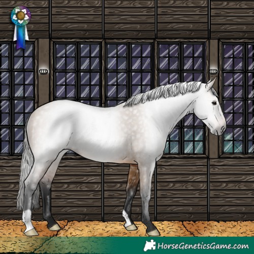 Horse Color:Gray Bay Dun 