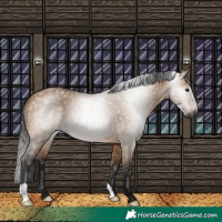 Horse Color:Gray Bay Dun 